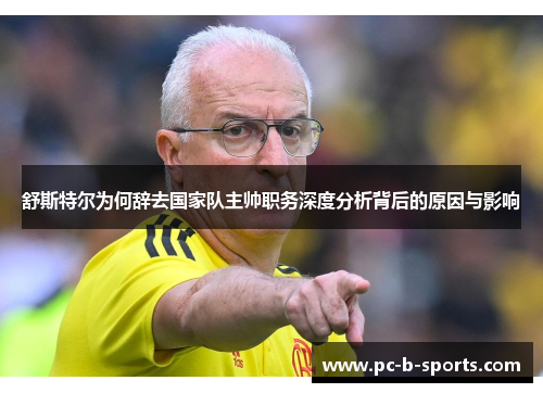 舒斯特尔为何辞去国家队主帅职务深度分析背后的原因与影响