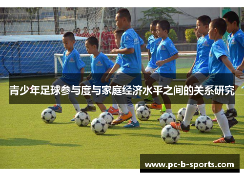 青少年足球参与度与家庭经济水平之间的关系研究