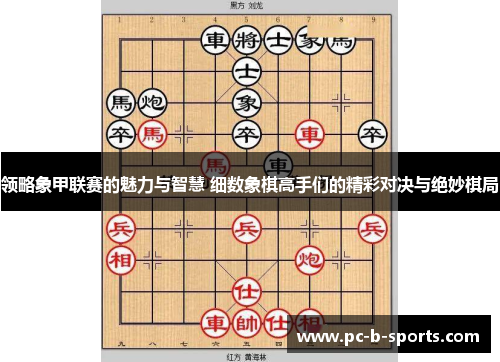 领略象甲联赛的魅力与智慧 细数象棋高手们的精彩对决与绝妙棋局 领略象甲联赛的魅力与智慧 细数象棋高手们的精彩对决与绝妙棋局